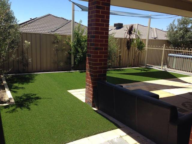 4 Artificial Turf for Pool Areas in Perth, WA Artificial Turf for Back Yards in Perth - Choice Turf