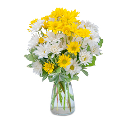 Birthday Flowers Dundalk Maryland Flower Delivery