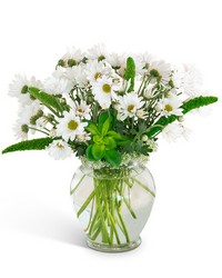 Buy Flowers Dundalk Maryland Flower Delivery