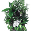 Florist in Dundalk Maryland - Flower Delivery