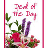 Next Day Delivery Flowers D... - Flower Delivery