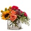 Flower Shop Fairborn Ohio - Flower Delivery in Fairborn