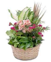Send Flowers Chickasaw Alabama Flower Delivery in Chickasaw