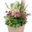 Send Flowers Chickasaw Alabama - Flower Delivery in Chickasaw