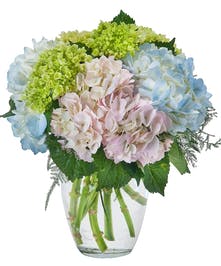 Sympathy Flowers Chickasaw Alabama Flower Delivery in Chickasaw