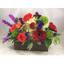 PA Langhorne Flower Delivery - Florist in Langhorne