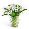 Chickasaw AL Next Day Deliv... - Florist in Chickasaw