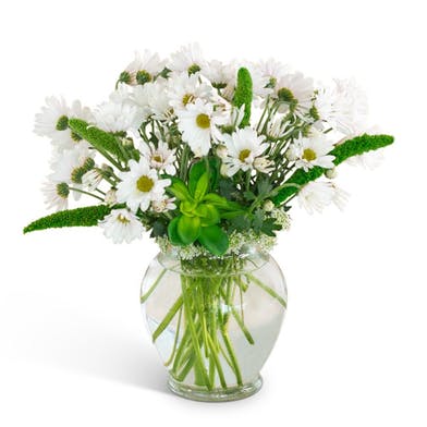Chickasaw AL Next Day Delivery Flowers Florist in Chickasaw