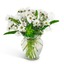 Chickasaw AL Next Day Deliv... - Florist in Chickasaw