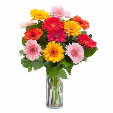 Chickasaw AL Same Day Flower Delivery Florist in Chickasaw