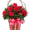 Escondido CA Get Well Flowers - Florist in Escondido