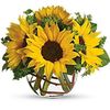 Next Day Delivery Flowers G... - Flower in Columbus