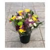 Get Flowers Delivered Lakew... - Flower in Tacoma