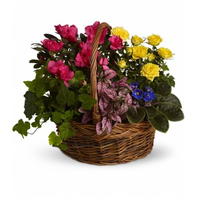 Same Day Flower Delivery Lakewood WA Flower in Tacoma