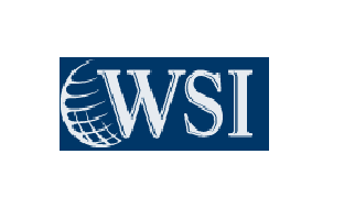 logo WSI Internet Partners