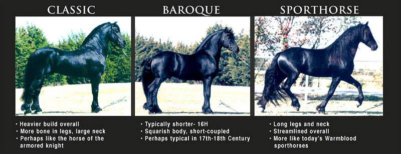 70975105 10215042246833830 2954893811240665088 n - 