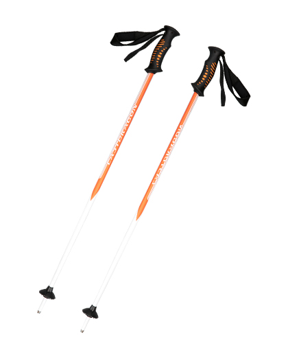 ski pole Outdoor sporting pole