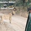 GIZ Devalia Safari VS Gir S... - The Globetrot Mom