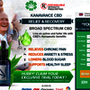 How does Kanavance CBD Oil help to reduce old body pains?