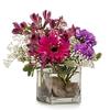 Florist in Plantation FL - Flower Delivery in Plantation