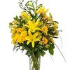 Flower Delivery in Plantati... - Flower Delivery in Plantation