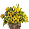 Fresh Flower Delivery Plant... - Flower Delivery in Plantation