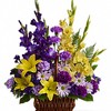 Get Well Flowers Plantation FL - Flower Delivery in Plantation