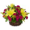 Same Day Flower Delivery Pl... - Flower Delivery in Plantation