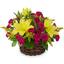 Same Day Flower Delivery Pl... - Flower Delivery in Plantation