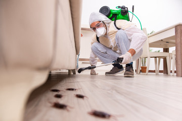 pacific Pest Control1 Pacific Pest Control