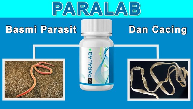 Paralab Harga Picture Box