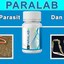 Paralab Harga - Picture Box