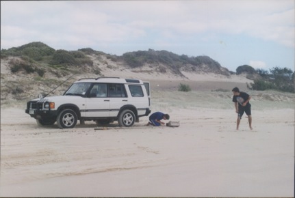 DocImage341.jpeg Discover white - 