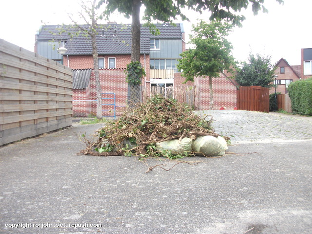 Tuin klimop verwijderd 29+30-06-20 2 In de tuin 2020