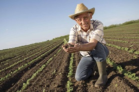 Seguro-Rural Preferida Corretora de Seguros