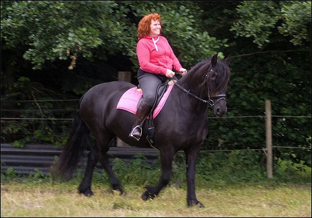 3 Hayke rijden maandagavond