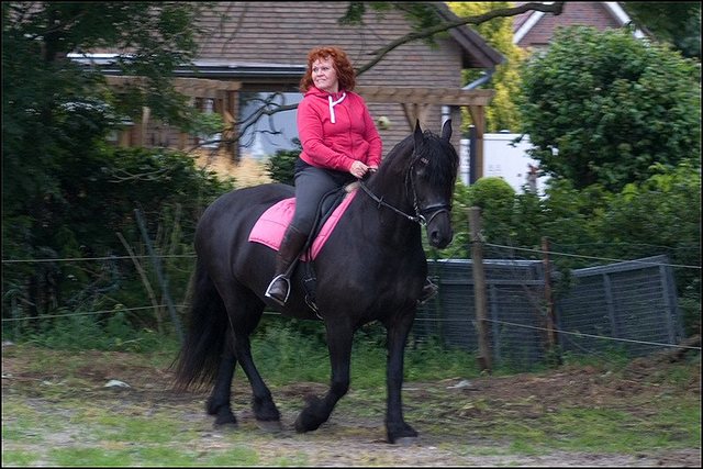 5 Hayke rijden maandagavond