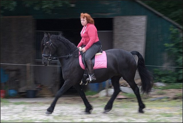 6 Hayke rijden maandagavond