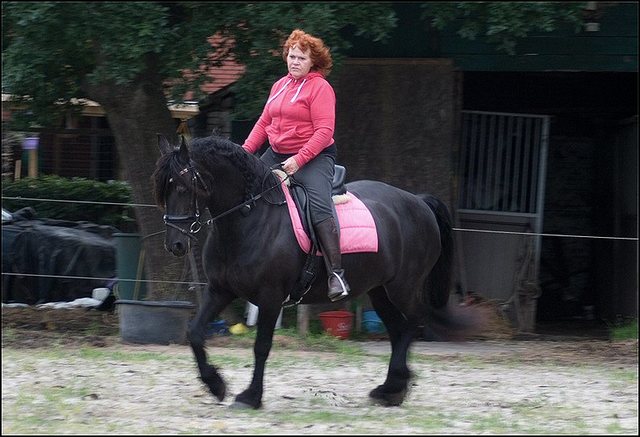 7 Hayke rijden maandagavond