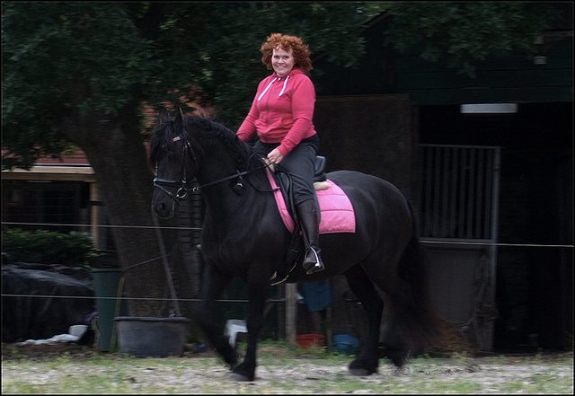 8 Hayke rijden maandagavond