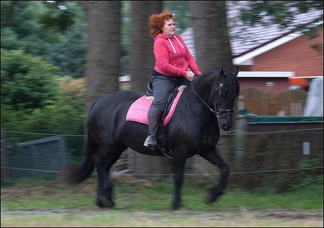 16 Hayke rijden maandagavond