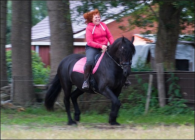 20 Hayke rijden maandagavond