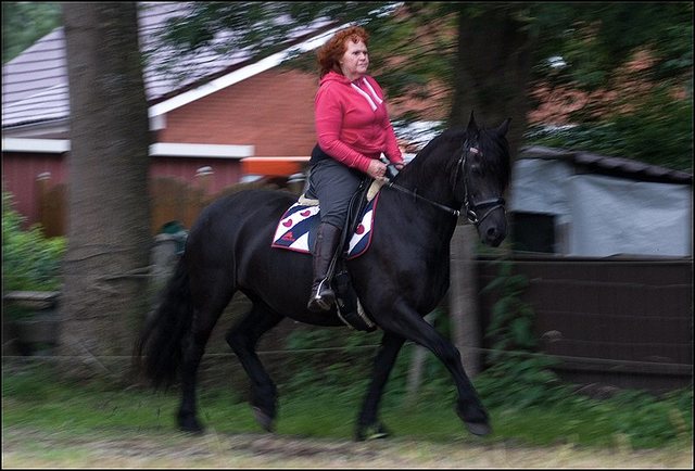 30 Hayke rijden maandagavond