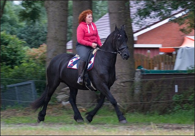 33 Hayke rijden maandagavond