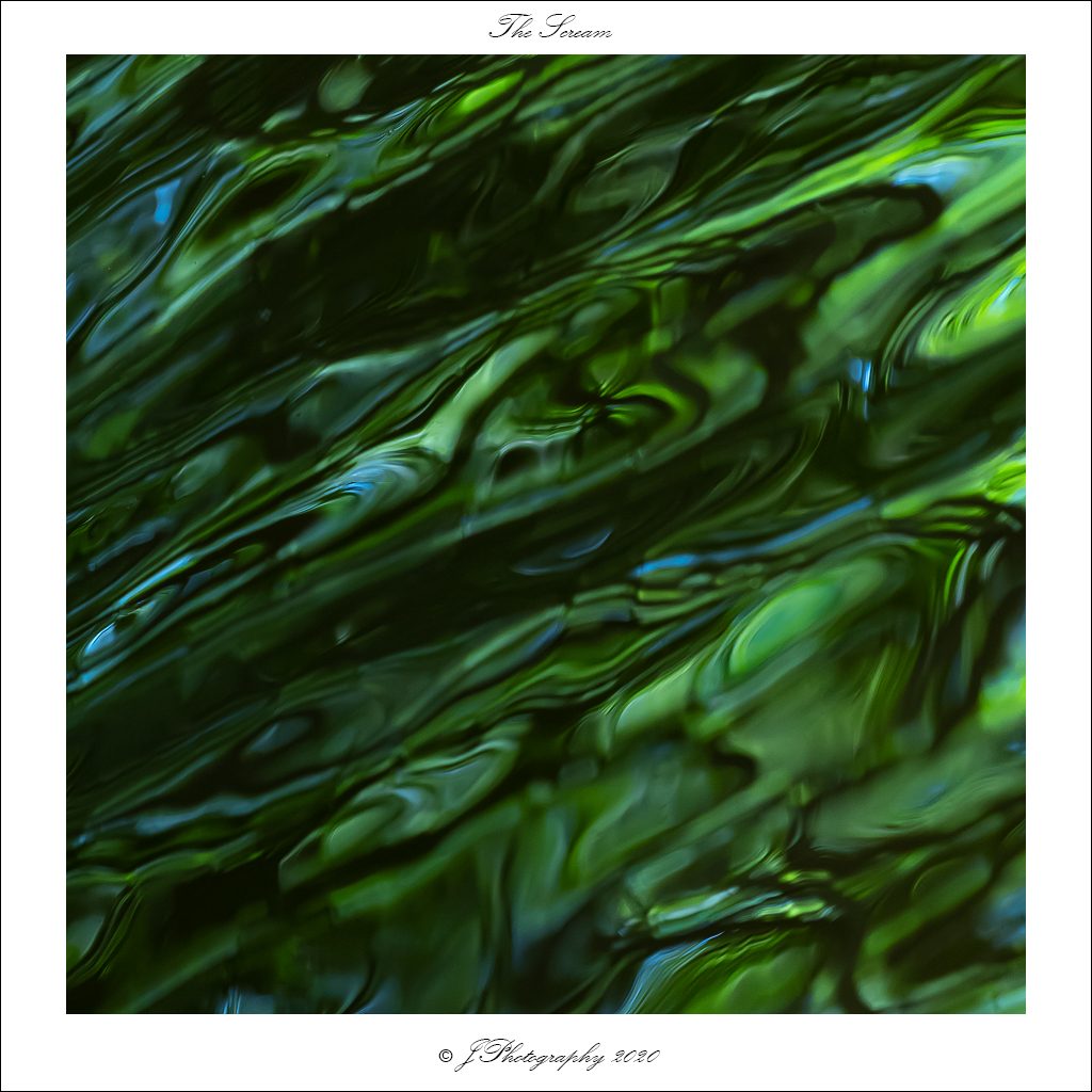  DSC0208 The Scream - 