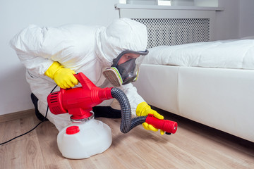 Bed Bug Removal Melbourne Pacific Pest Control