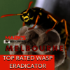TOP-RATED-WASP-ERADICATOR-m... - Picture Box