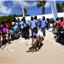 Cayman Annual Turtle Releas... - Cayman Turtle Center