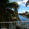 Buy Finest Cayman Islands P... - West Indies Brokers
