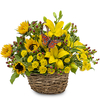 Flower Delivery Branford CT - Florist in Branford